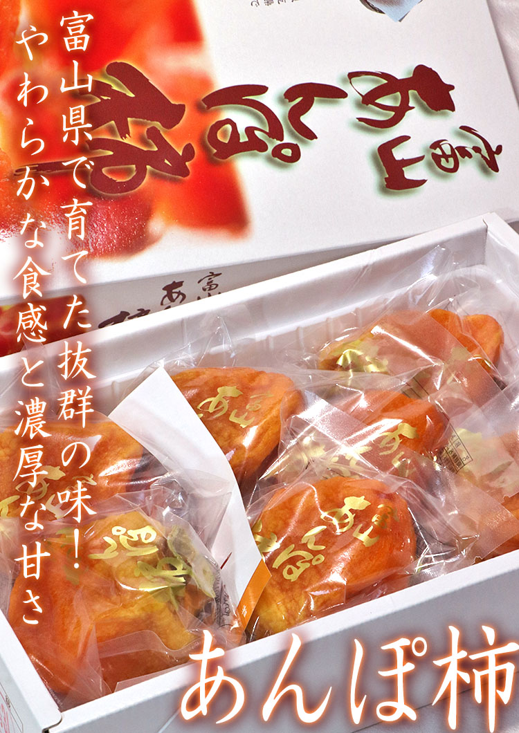 ����ݳ� �ٻ���