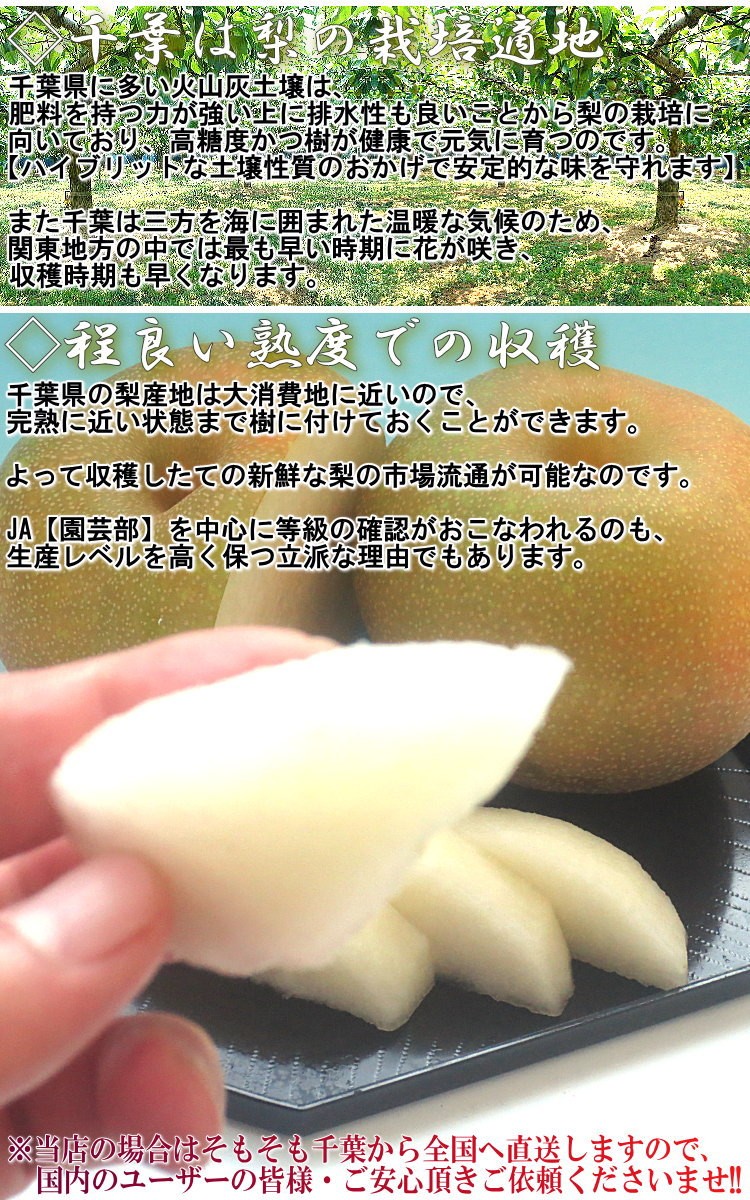 n-4 千葉県産 豊水梨 加工用 5kg