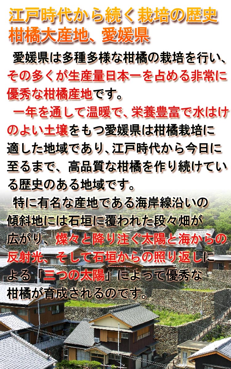  ̵