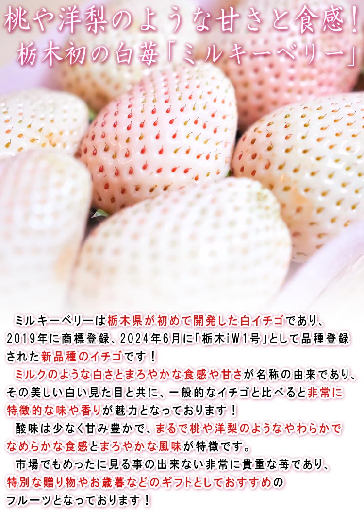 ߥ륭٥꡼ 