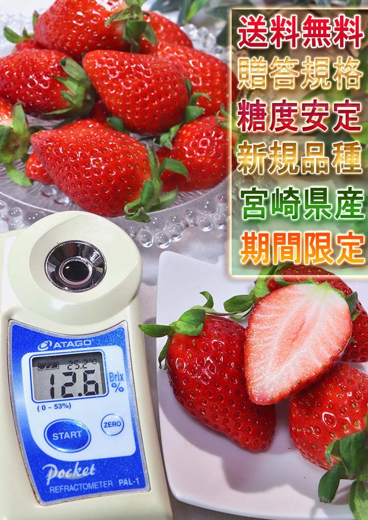 褤Ҥ 