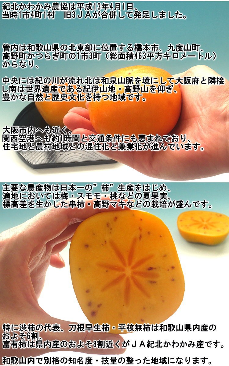 和歌山県産九度山　農家直送　美味しい種無し柿たねなし柿甘い家庭用訳あり品10キロ