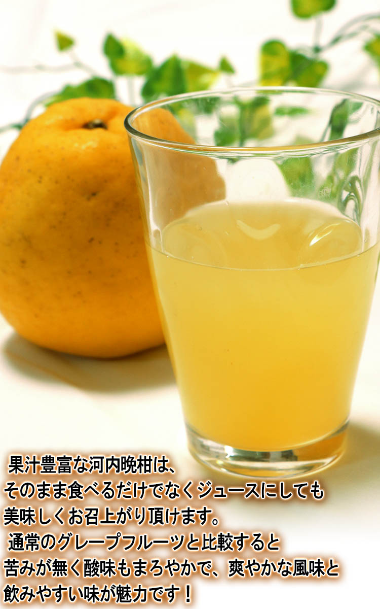 塼 մ