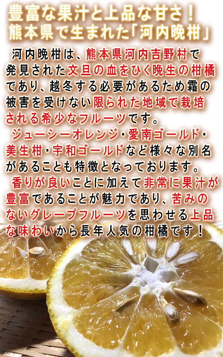 ե롼 塼