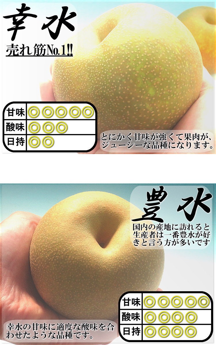 n-1 千葉県産 豊水梨 加工用 5kg