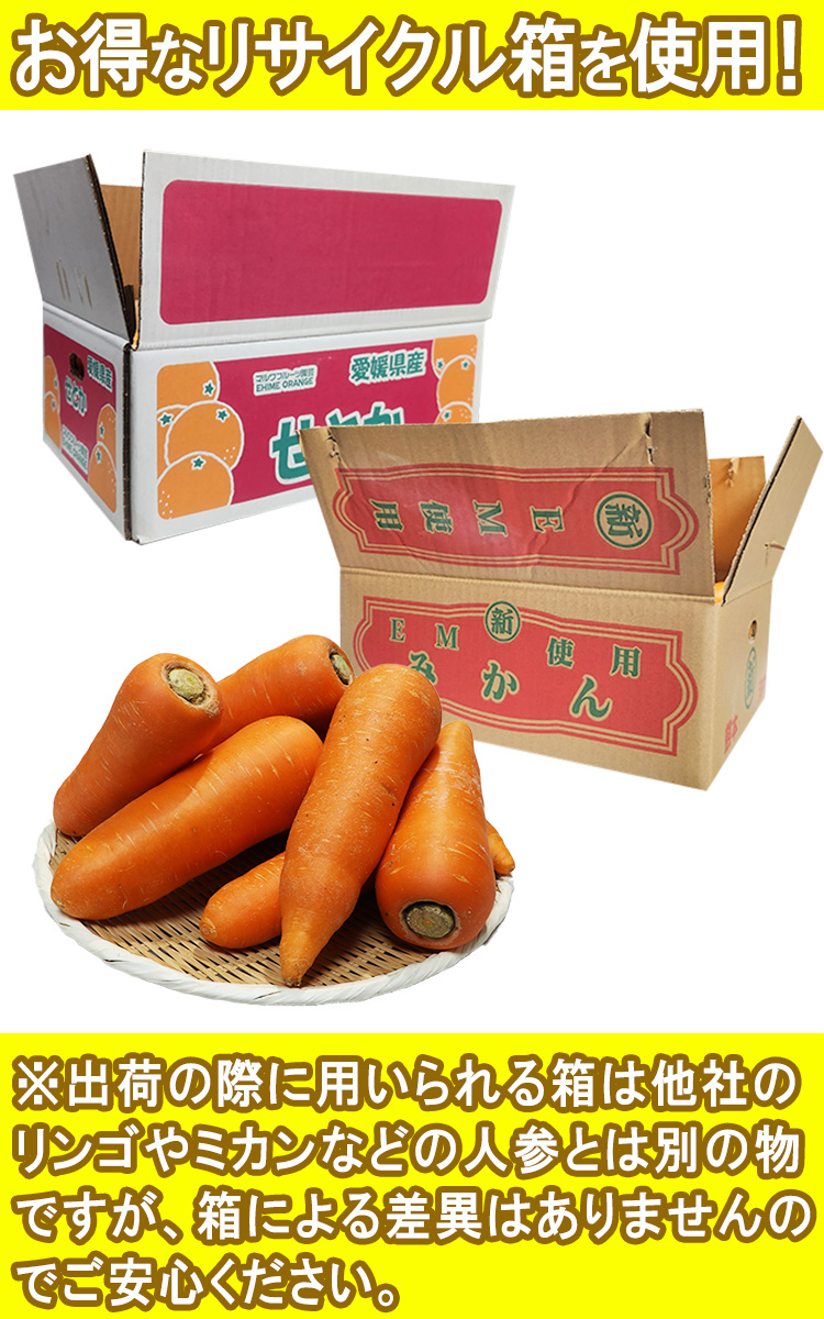 �ˤ󤸤� �ꥵ������