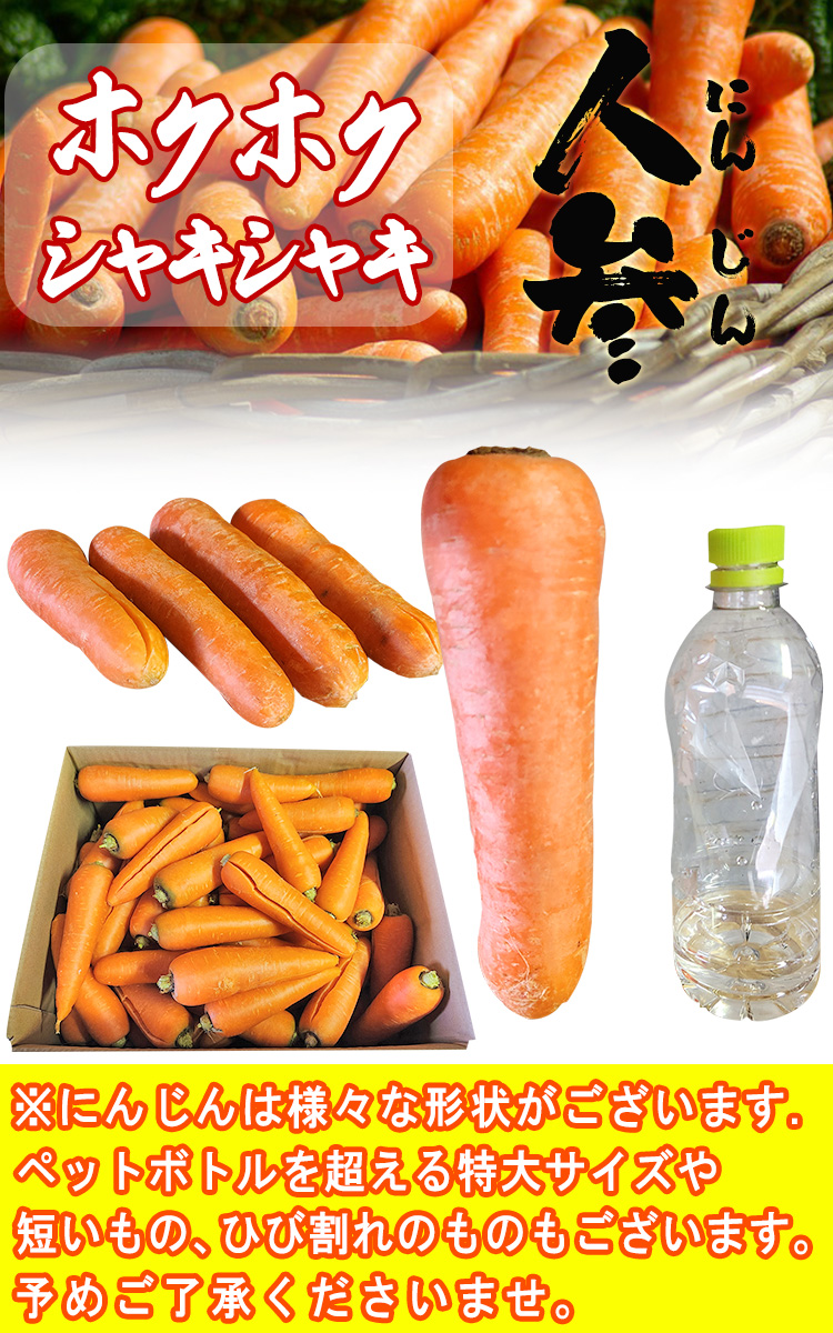 �ˤ󤸤� ���