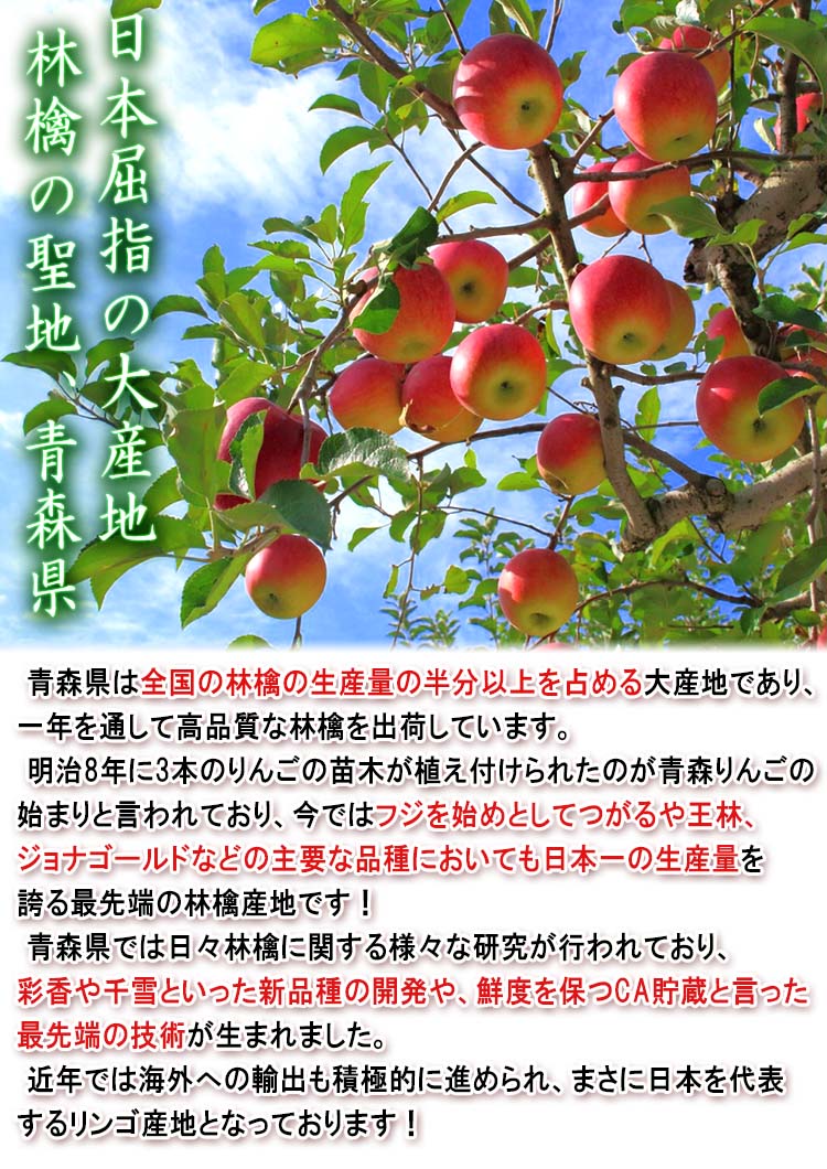 10～16玉　贈答規格　赤りんご　ひろさきふじ　フジ林檎　旬の品種を厳選！濃厚な味と甘さのあおもりリンゴ　約5kg　青森県産