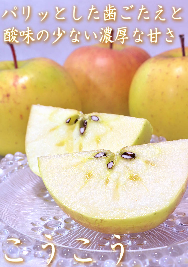 �������� �Ӹ�