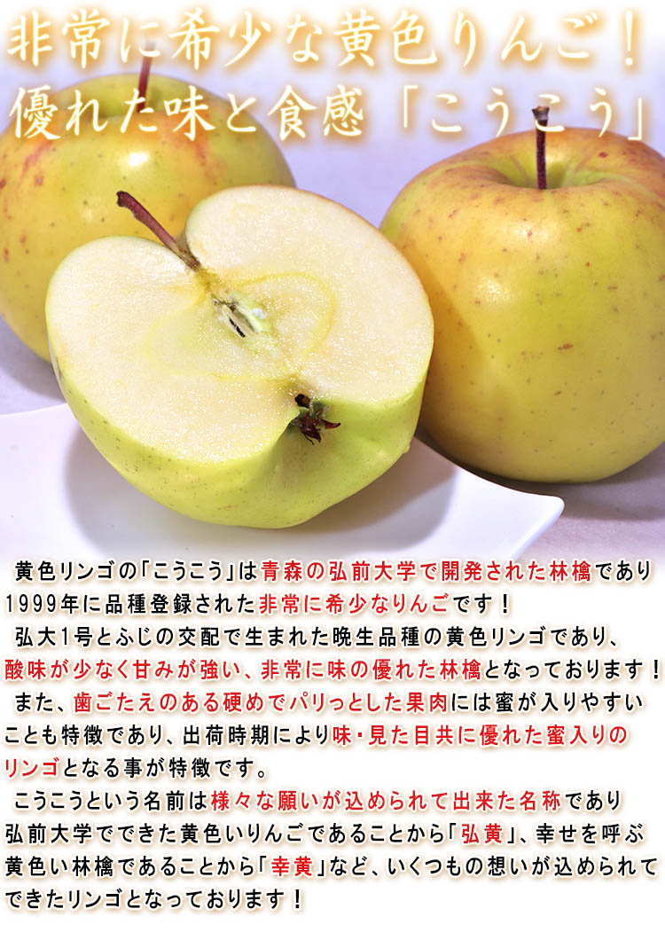 ̪���� ��������