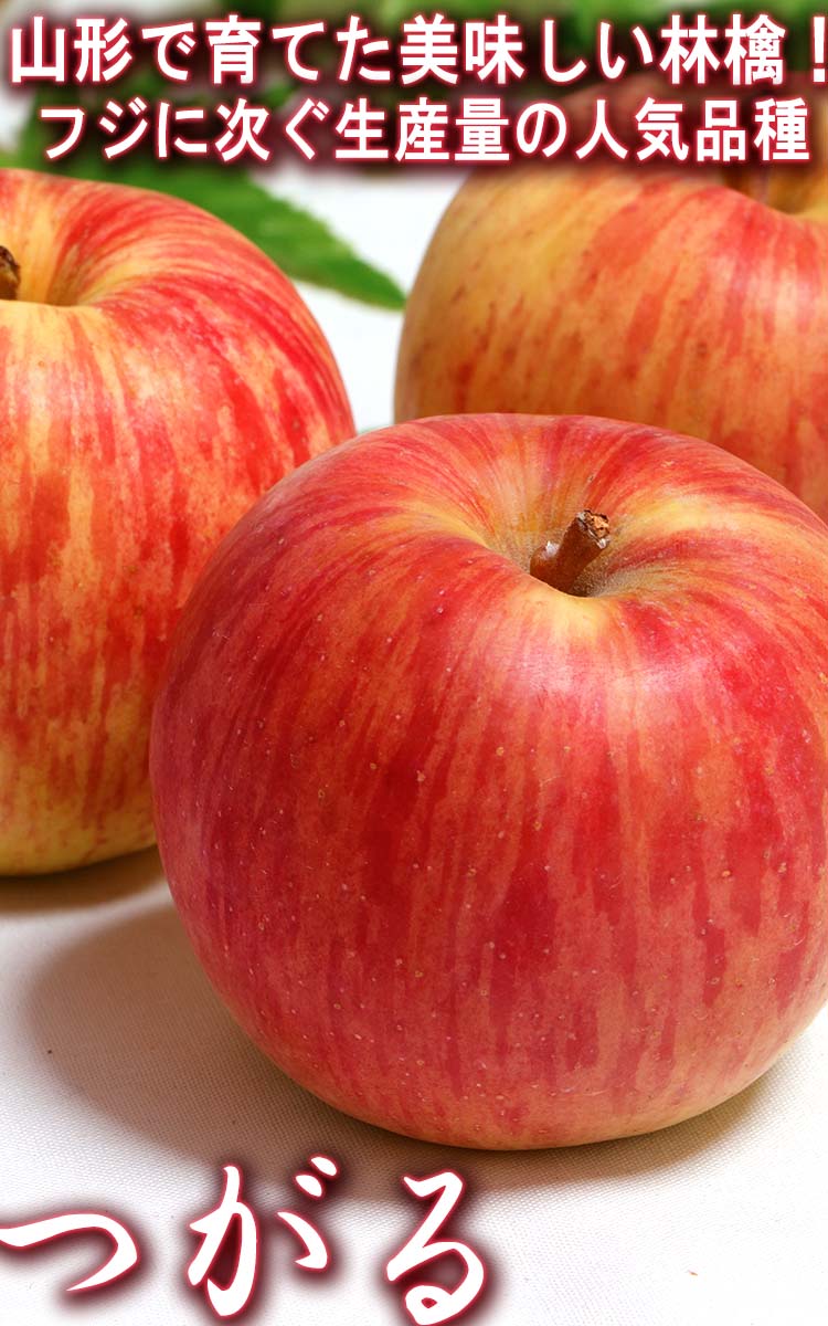 訳あり　約5kg　青森・山形県産　12～18玉　酸味が少ない人気の赤林檎！抜群の美味しさをお届け　つがる　赤りんご