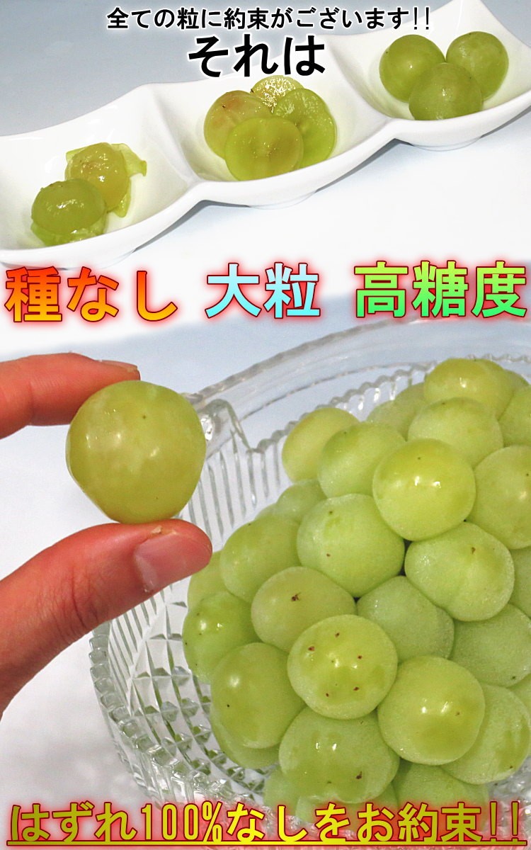 【販売買取】瀬戸ジャイアンツ 種ナシ皮ごと食べられる葡萄苗木 フラワー・リース