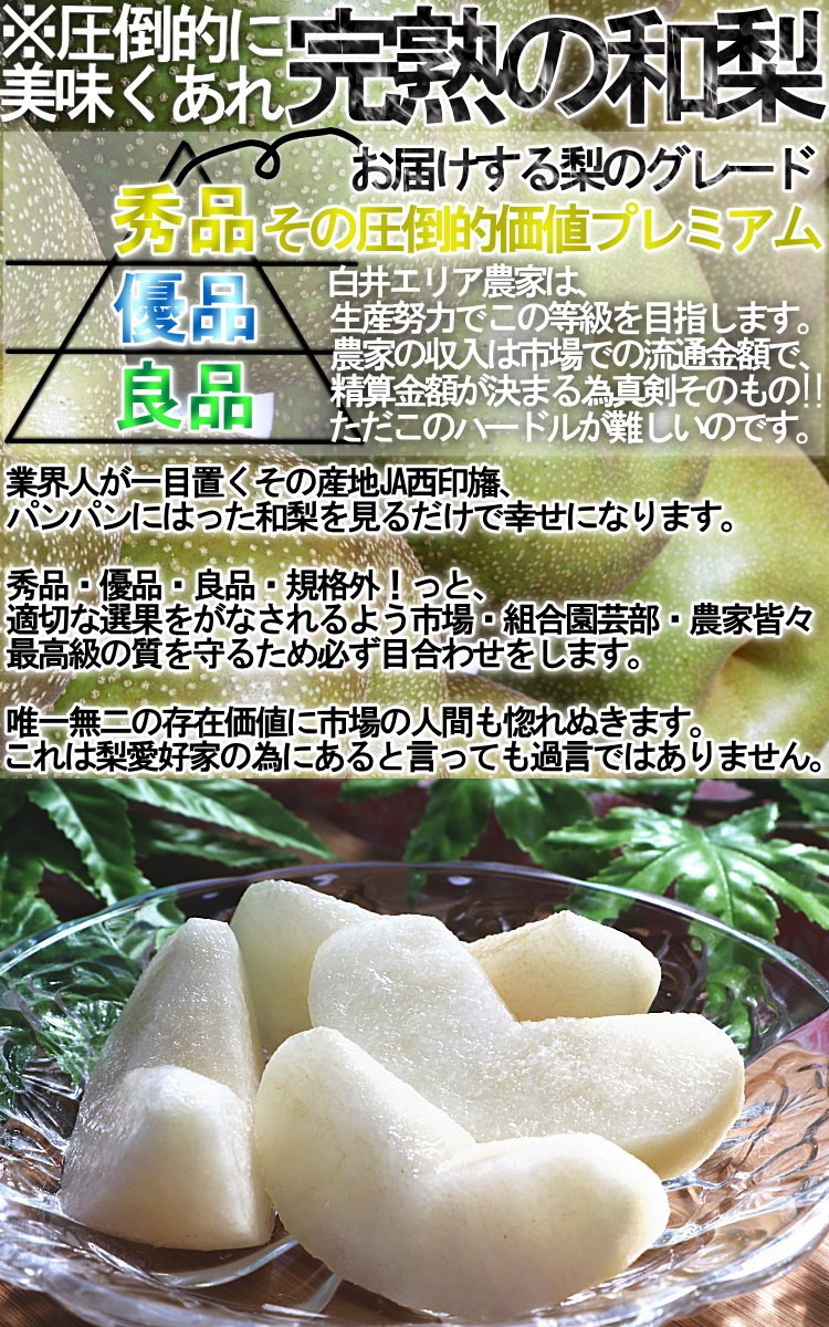 福島県産 豊水梨 梨 14玉入り家庭用 エリア限定品 食べごたえある大きめサイズ