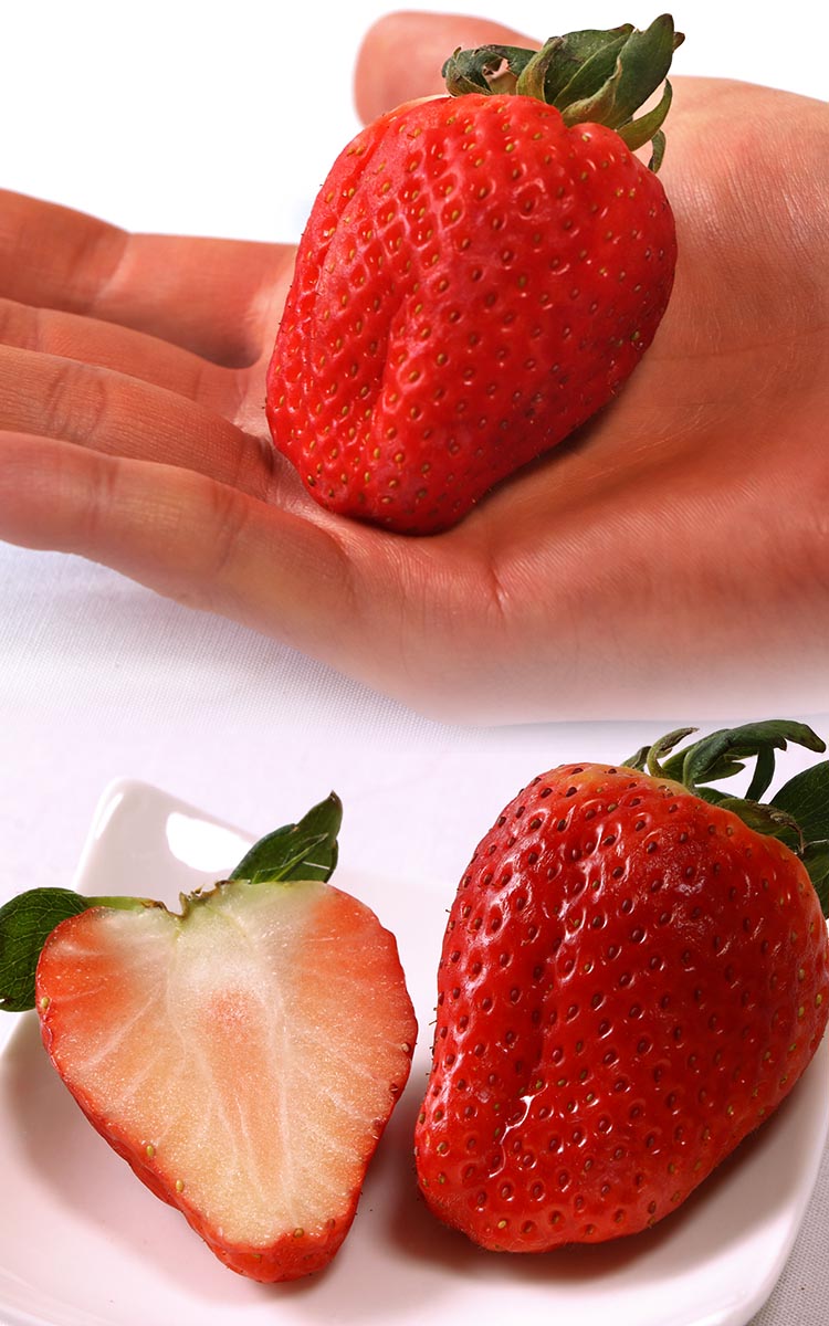 ե ٥꡼