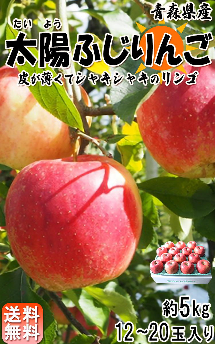 太陽ふじりんご 赤リンゴ 約5kg 12〜20玉 青森県産 みずみずしい 