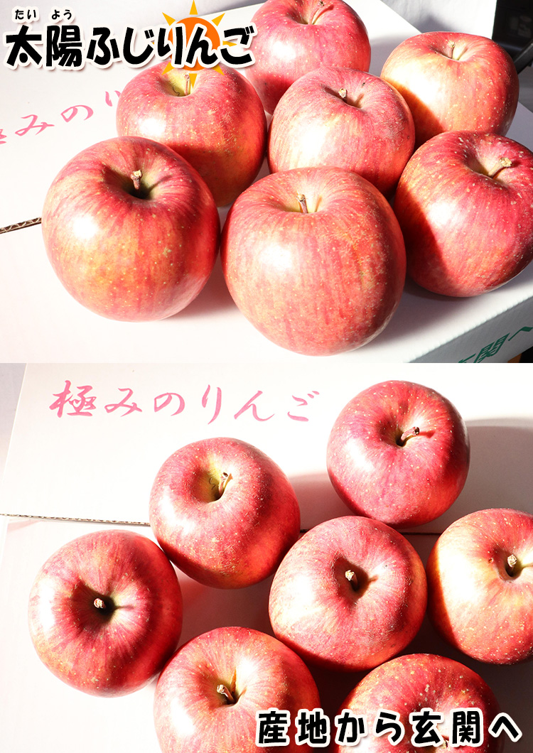 ����̵�� ����