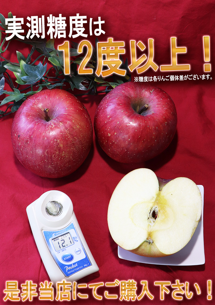 ���ե� �ե롼��