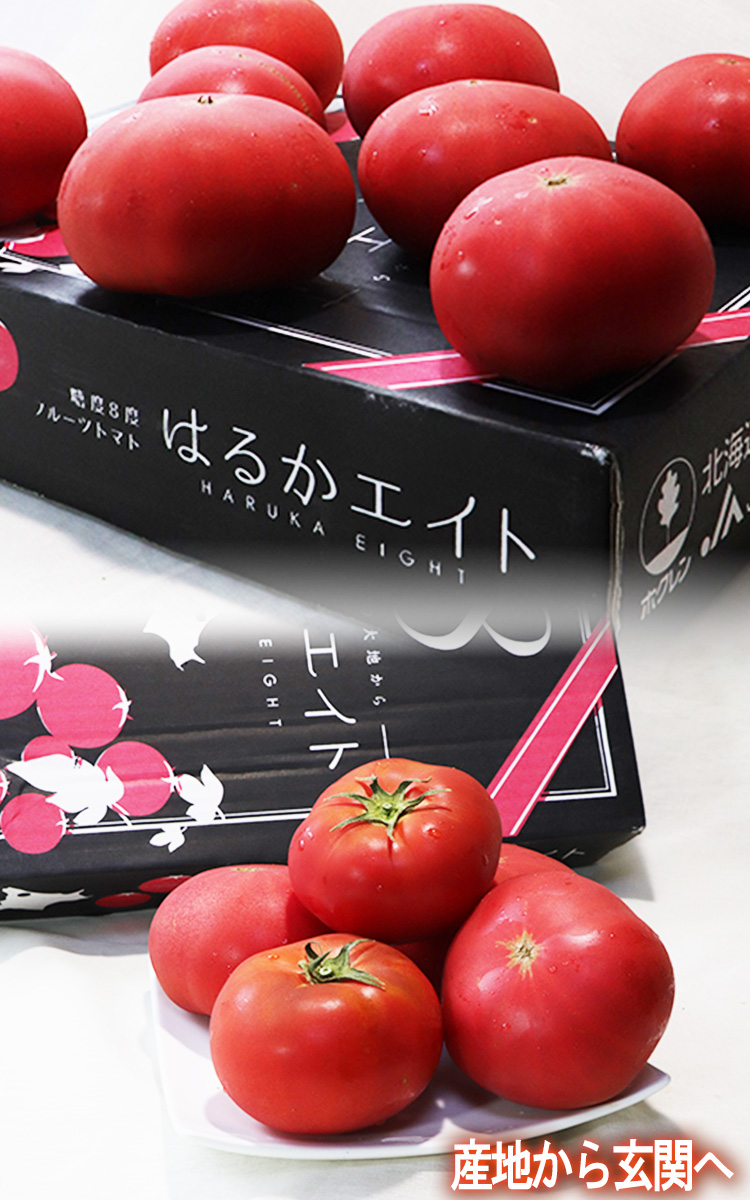 再入荷！】 フルーツトマト はるかエイト 約800g 12〜15個 北海道産<br>