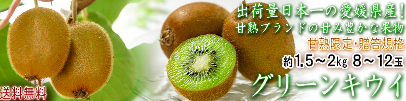 �������ե롼�� ��ɲ