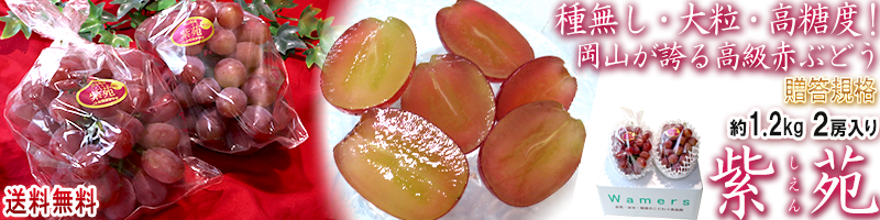 ��� �֤ɤ�